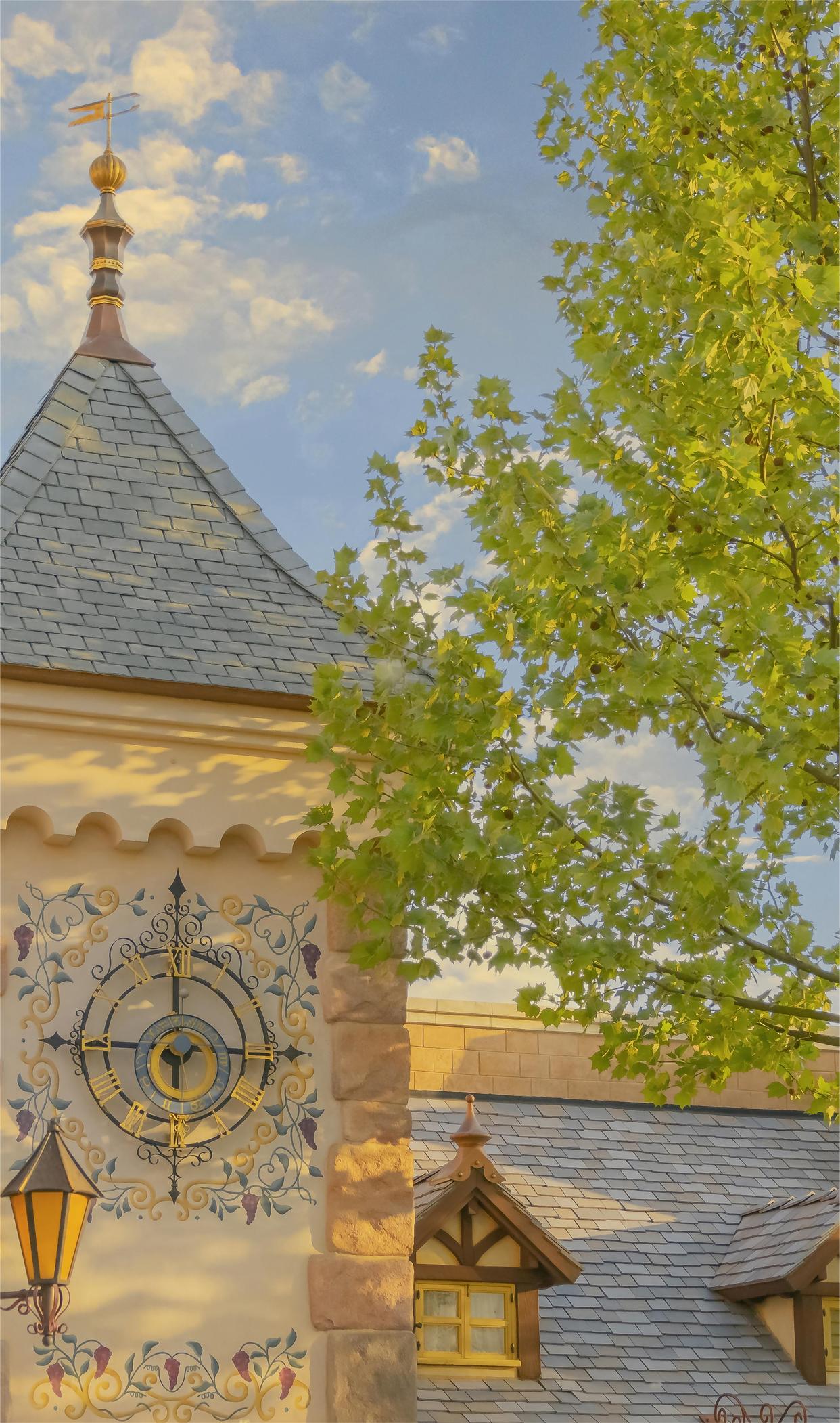 摩羯座的心计和城府无人能敌,摩羯座处事须精明待人要糊涂