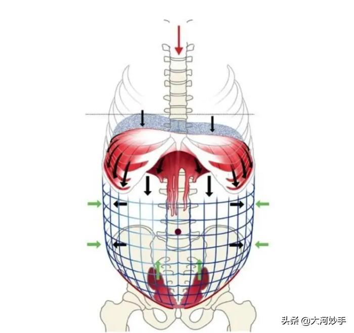 别担心，如果你的身体是歪的，八段锦帮你直起来
