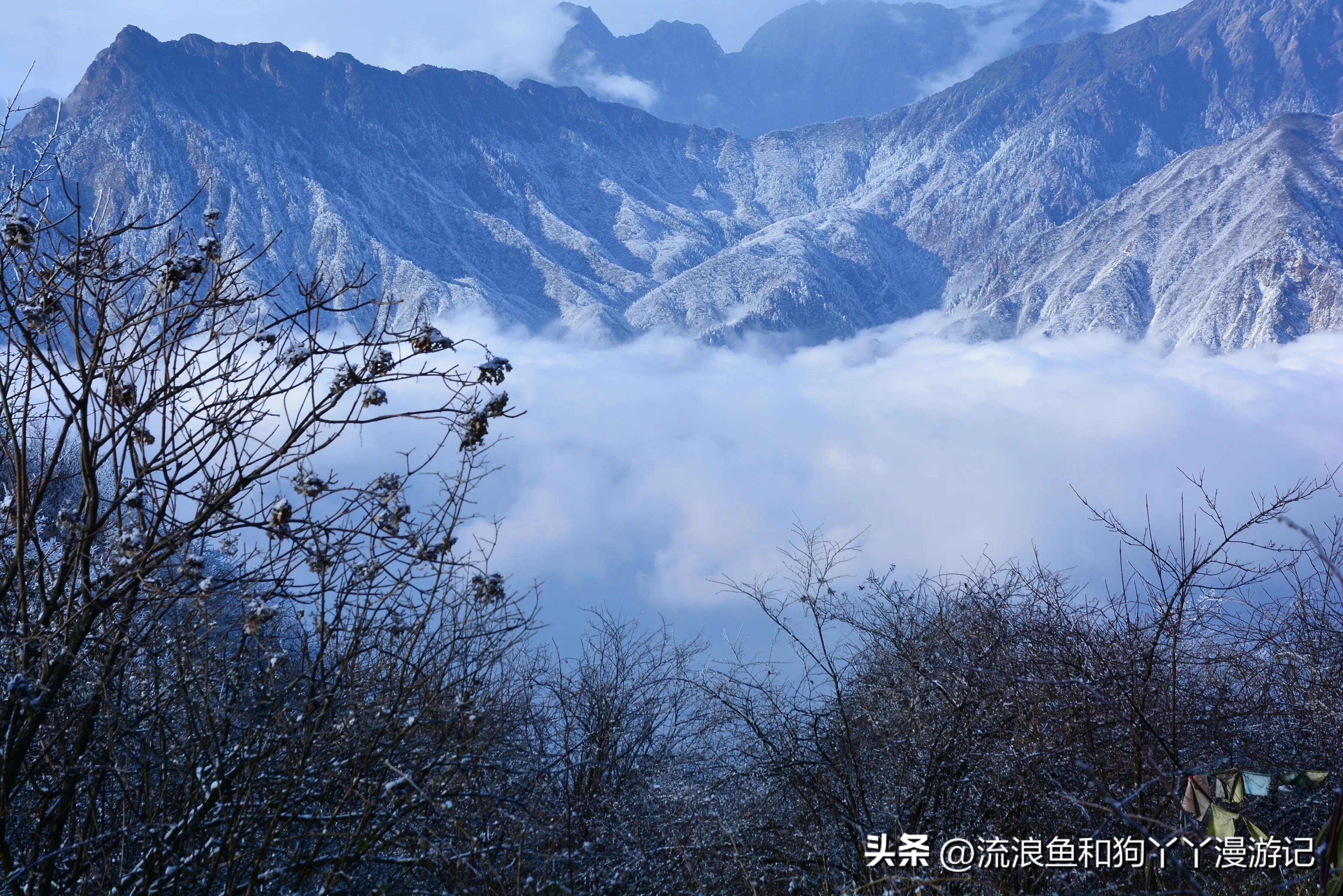 四月份成都近郊一日游好去处,2022成都近郊看雪一日游最佳去处