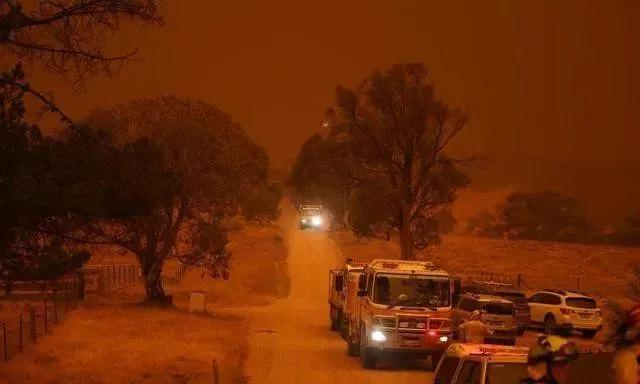 当年的重庆山火,重庆山火之后烧焦场景