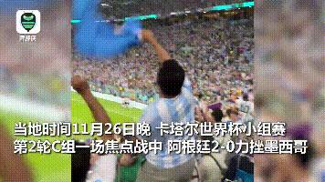阿根廷捧杯时刻超燃剪辑,阿根廷世界杯超燃瞬间
