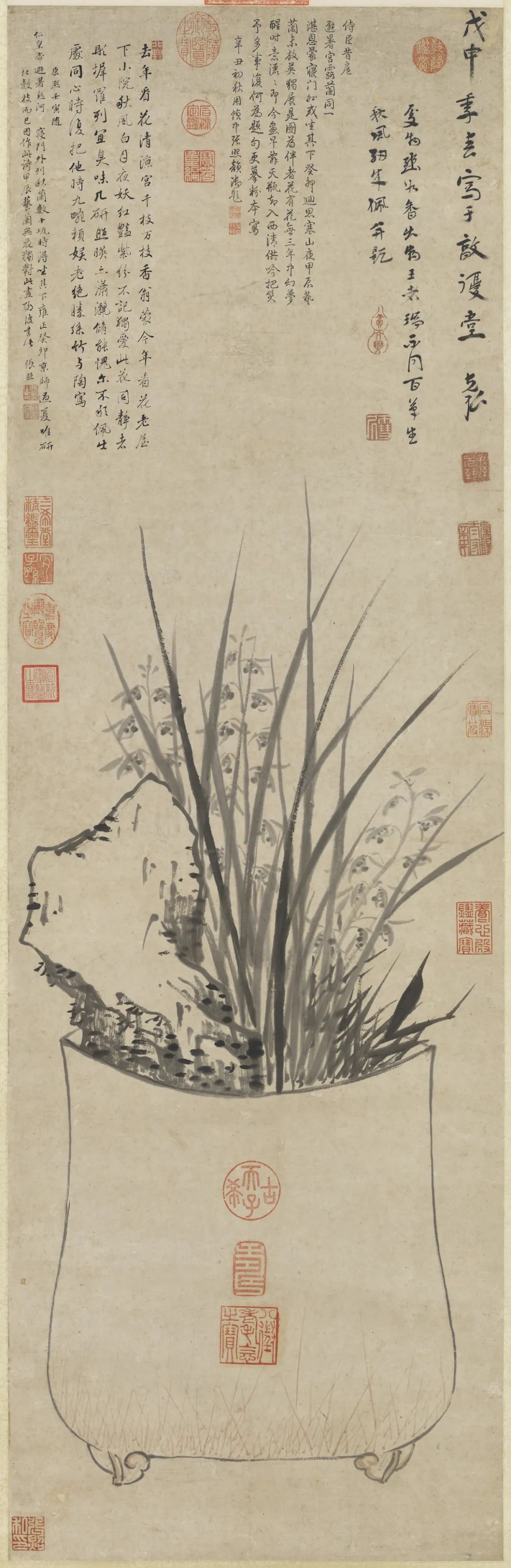 慕容看世界的视频,慕容看世界所有视频