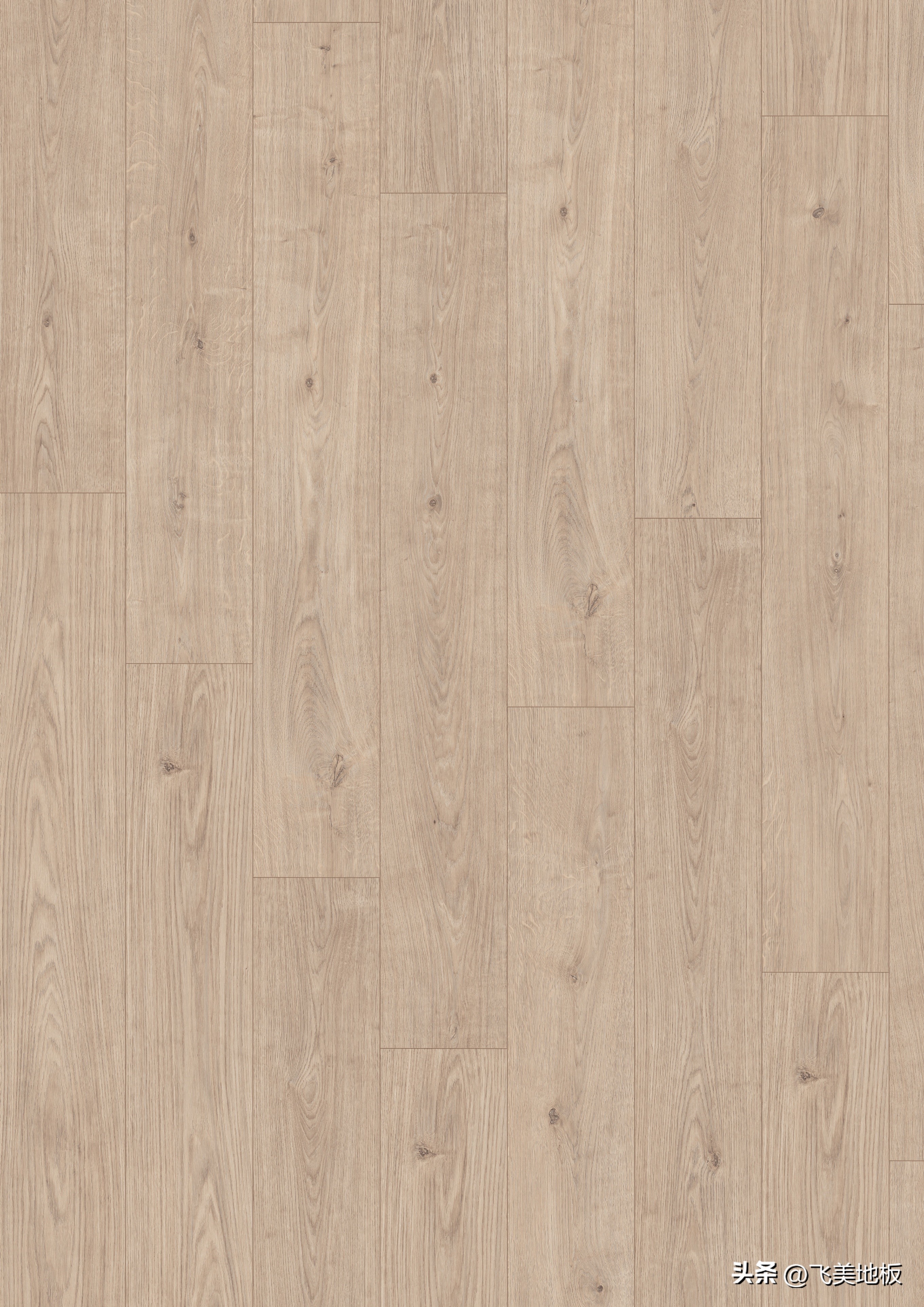 飞美爱格投影,飞美爱格是真的吗