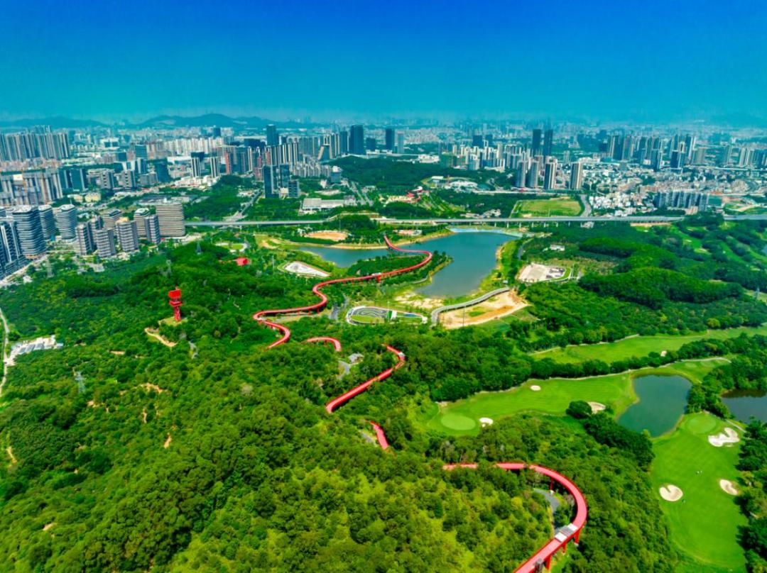 端午假期光明活动超精彩！音乐live、摘荔枝、包粽子……等你解锁！