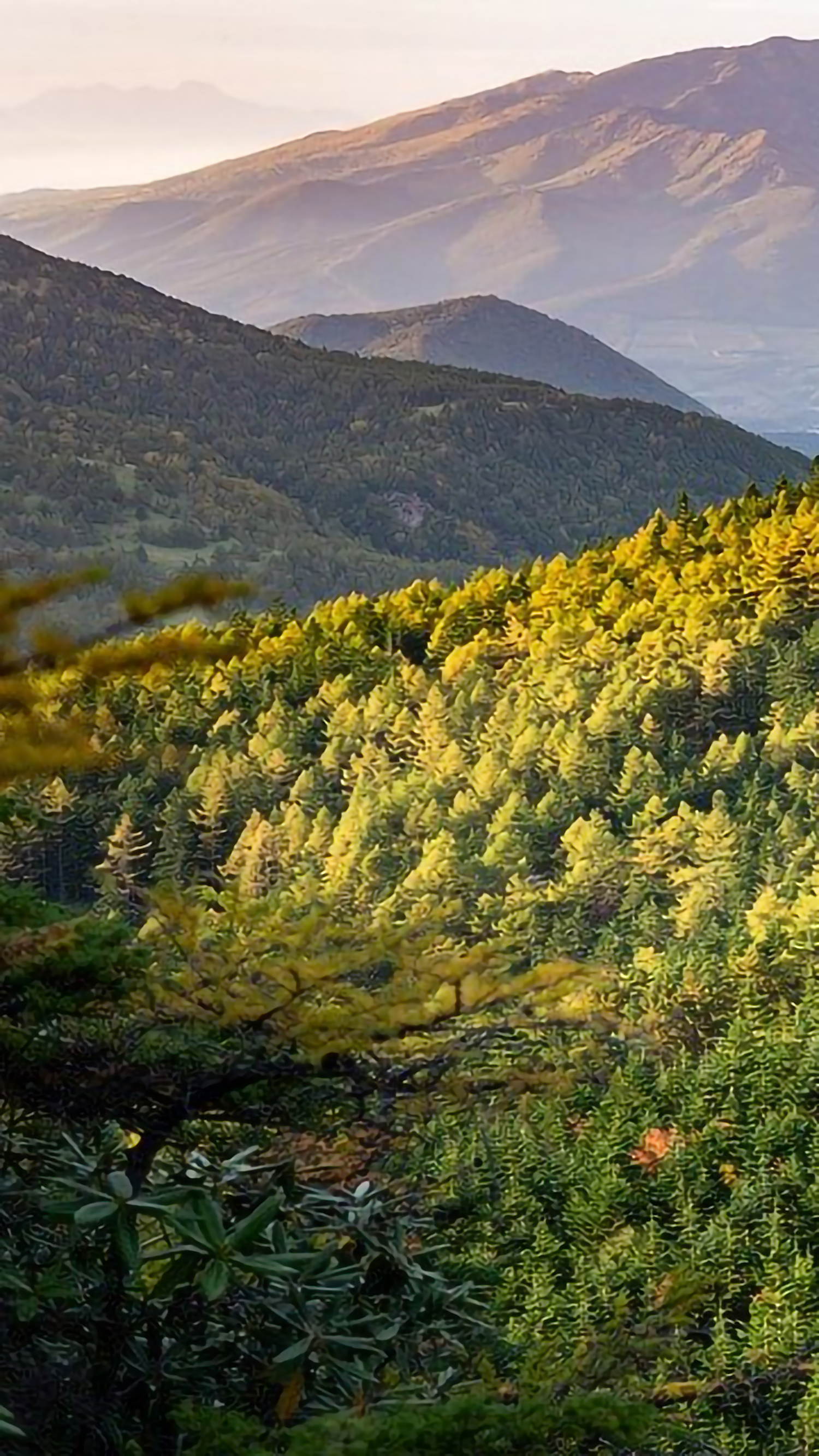 好看的手机桌面壁纸和锁屏壁纸,总有一张壁纸适合你手机屏保精选