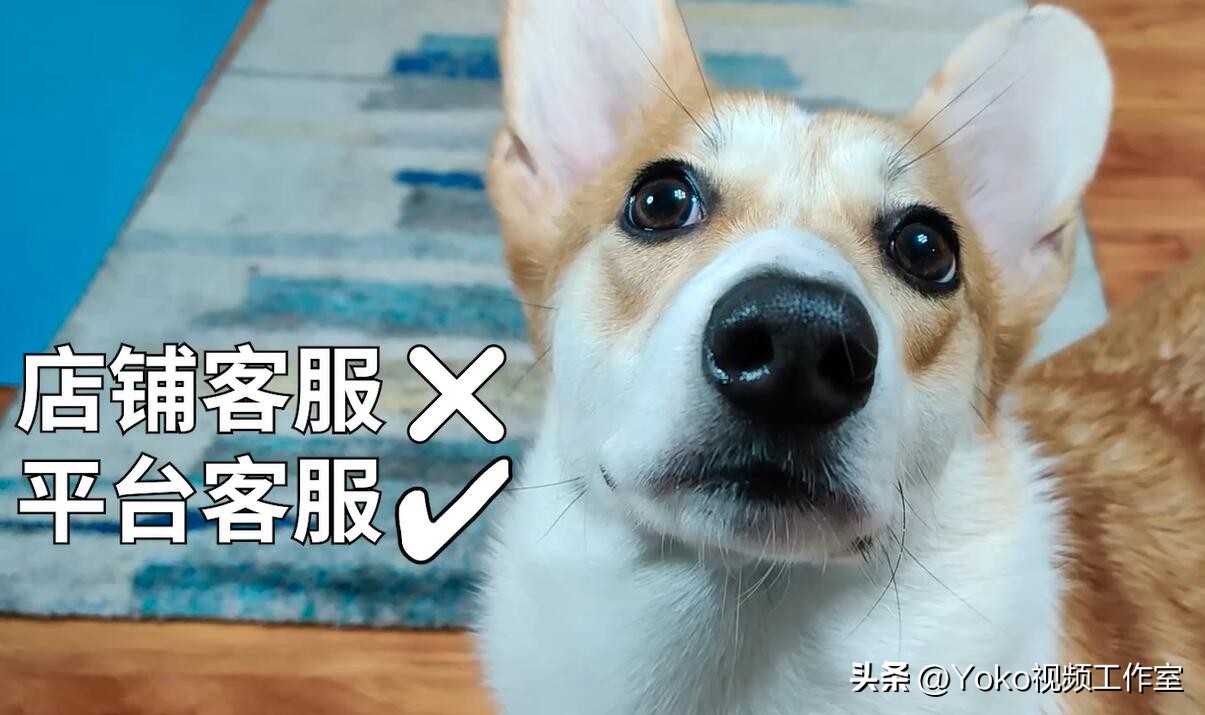 买笔记本翻车了怎么办,买电脑翻车几率大概有多大