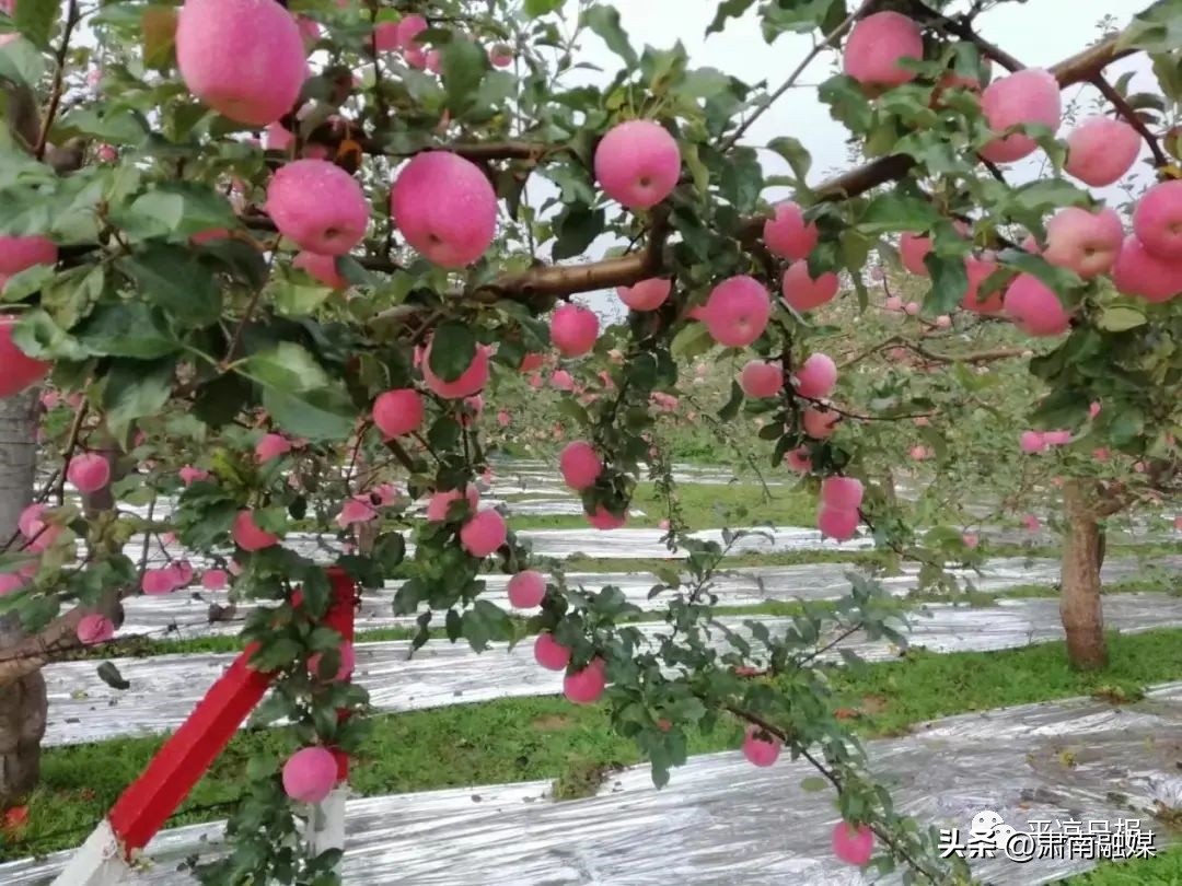 一场球踢火了泾川县,泾川足球赛