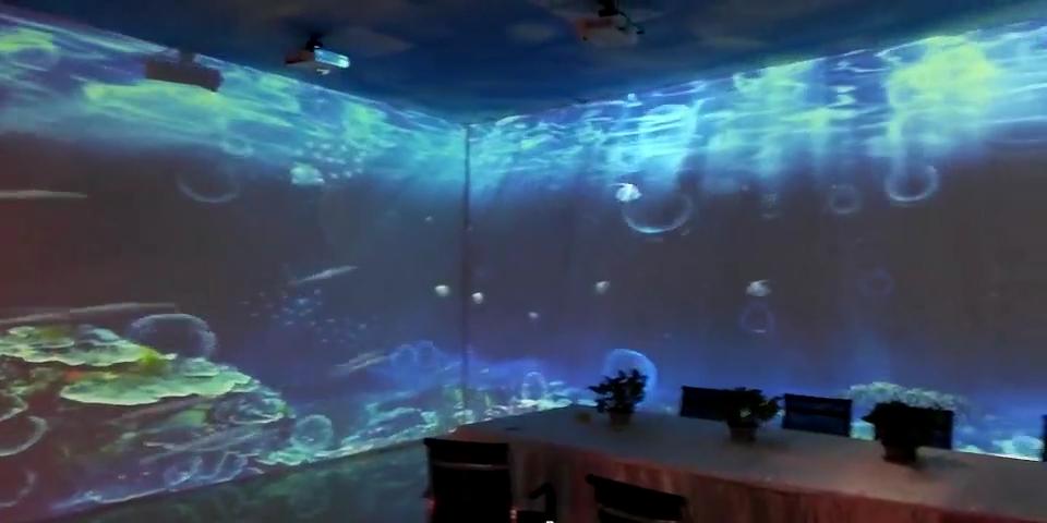 餐厅全息投影最省钱的方案,全息投影餐厅成功案例