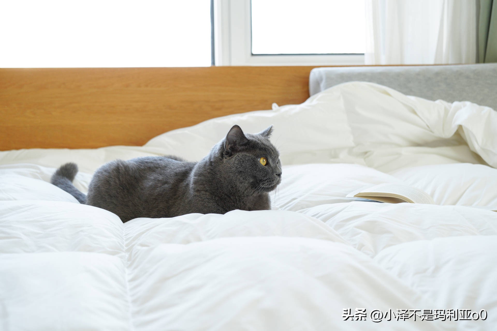 花1000多买被子,花1000买蚕丝被值不值