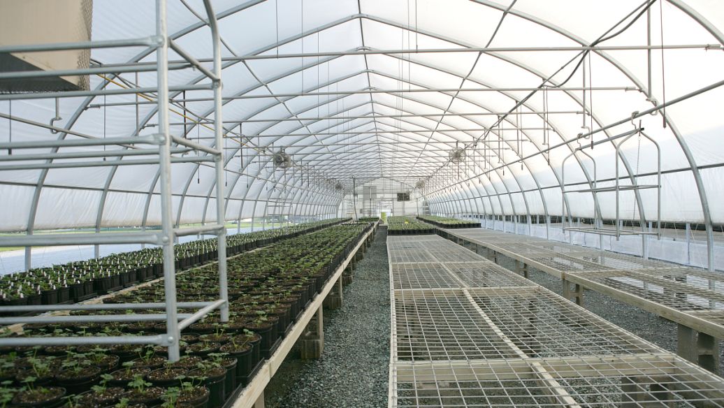 生态猪的养殖方法,生态猪养殖新模式循环养殖