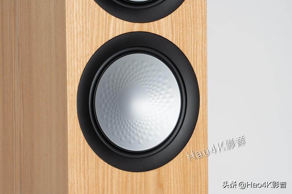 猛牌monitor300落地音箱,猛牌铂金300音箱怎样