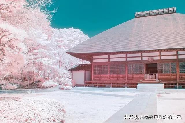 申报副高职称对专业有要求吗,申报副高职称