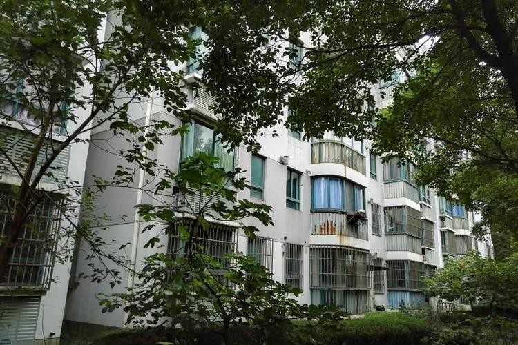 上海租客砍死女房东,上海女房东被租客砍死出殡