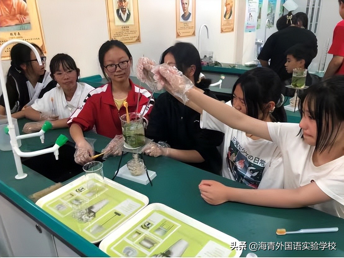 海青外国语实验学校小升初,海青外国语实验学校初中部怎么样