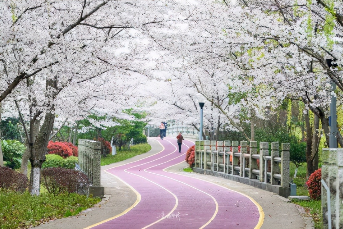 最近无锡新消息,无锡有哪些好消息