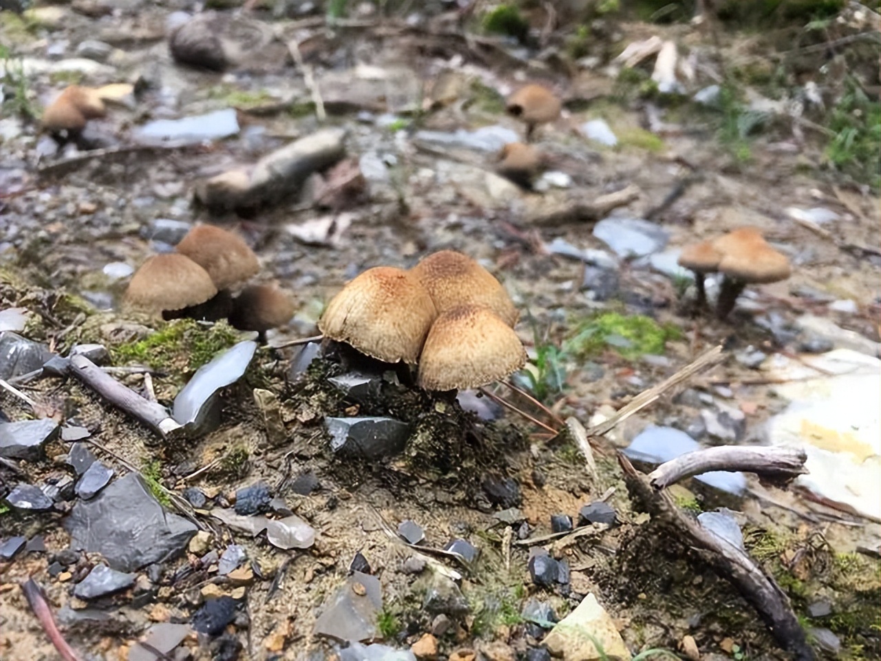 乡村改造创意工坊设计概念,极简乡村改造设计