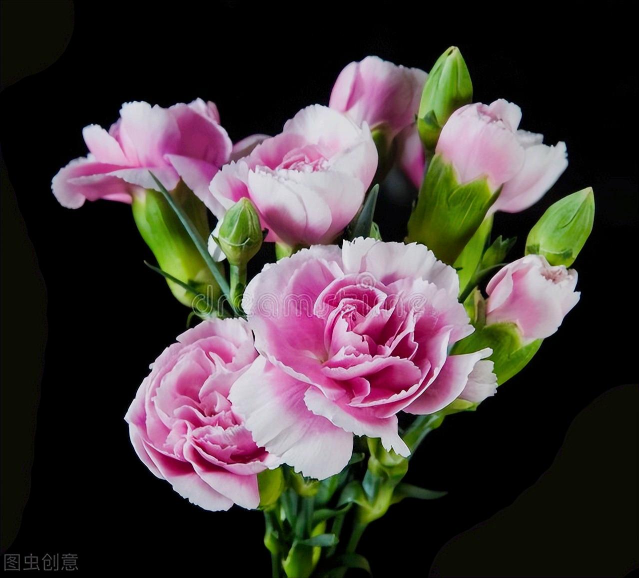 感恩母亲节祝自己节日快乐,母亲节感恩祝福词妈妈我爱你