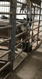 女朋友是不是平胸怎么验,被说平胸怎么安慰自己