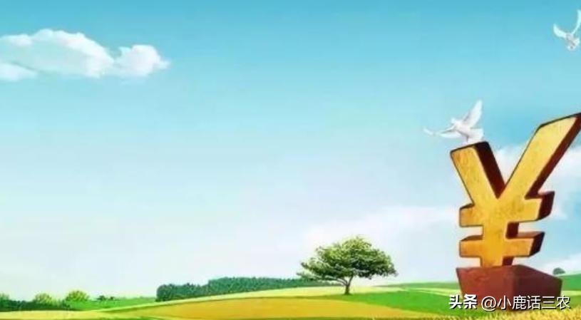 农民有福了农村这3笔补贴到账,农民这几个补贴别忘了领