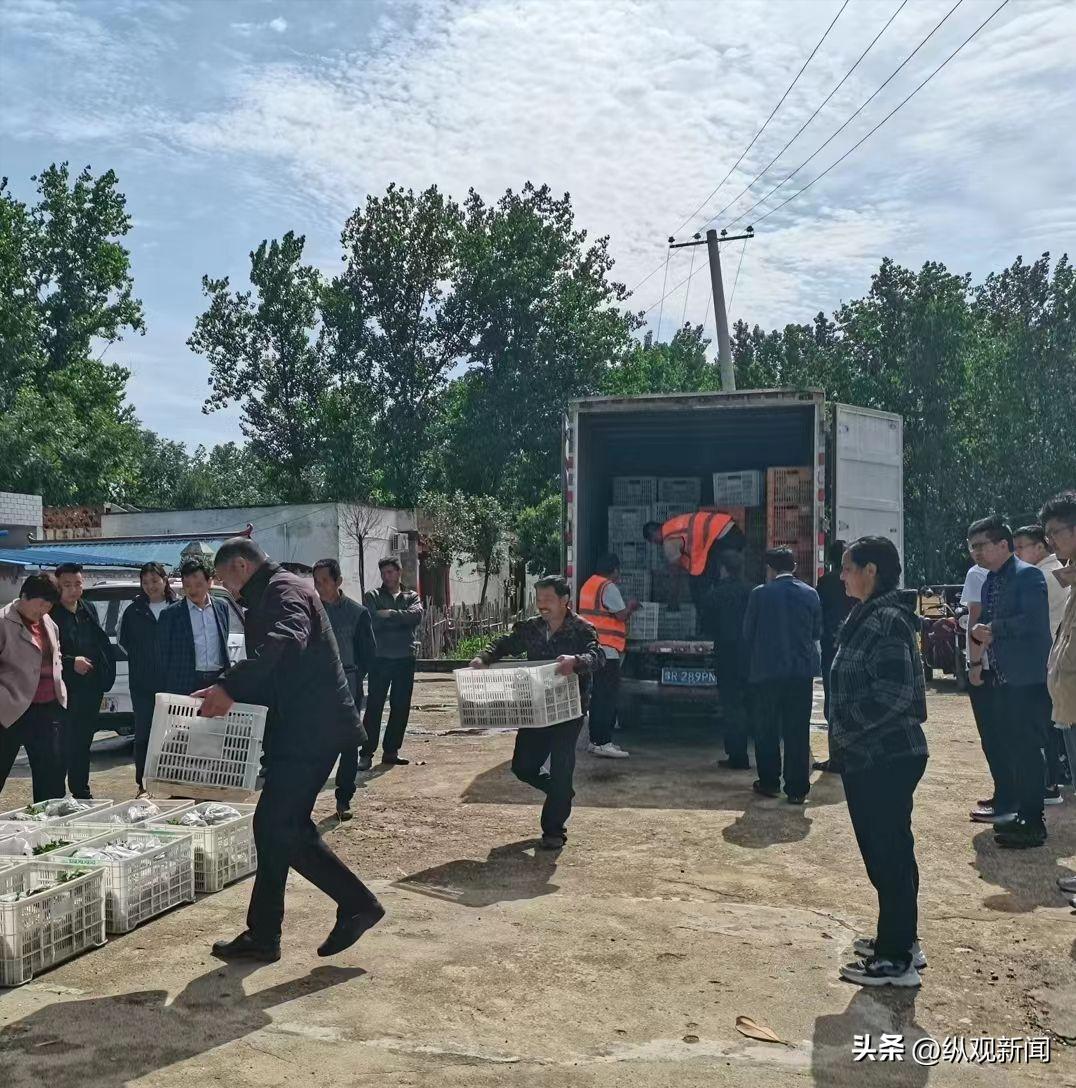 脱贫致富鸡苗送给贫困户,脱贫攻坚免费送猪苗