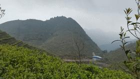 原祖山茶叶怎么样?原祖山茶叶属于什么档次?