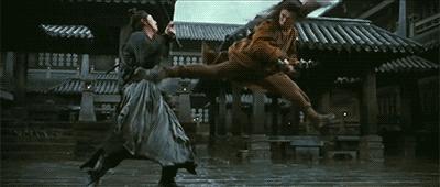 动作打斗电影十大巅峰之作,高分打斗电影国内排行榜前十