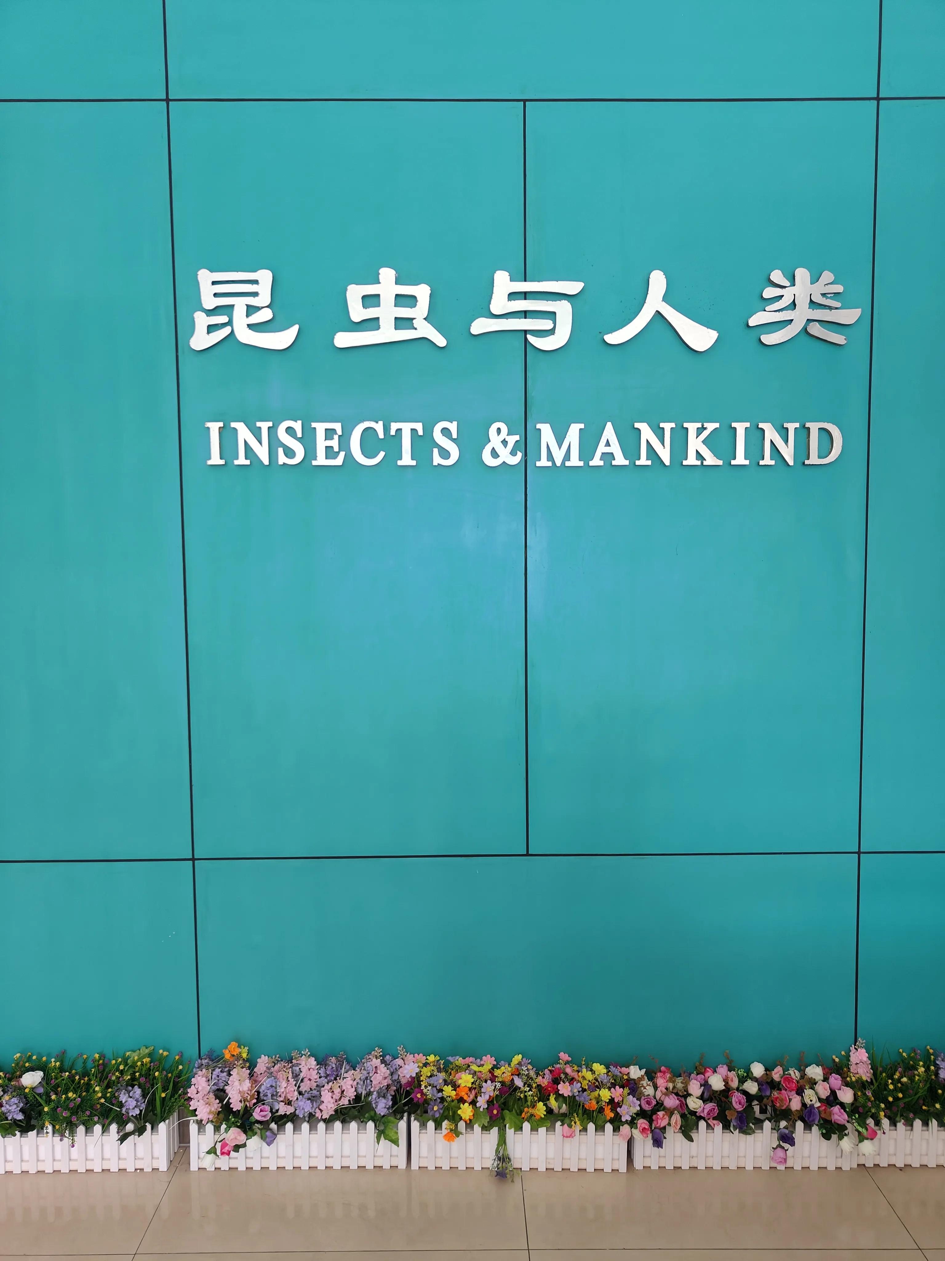 神兽暑假活动攻略之上海昆虫博物馆记