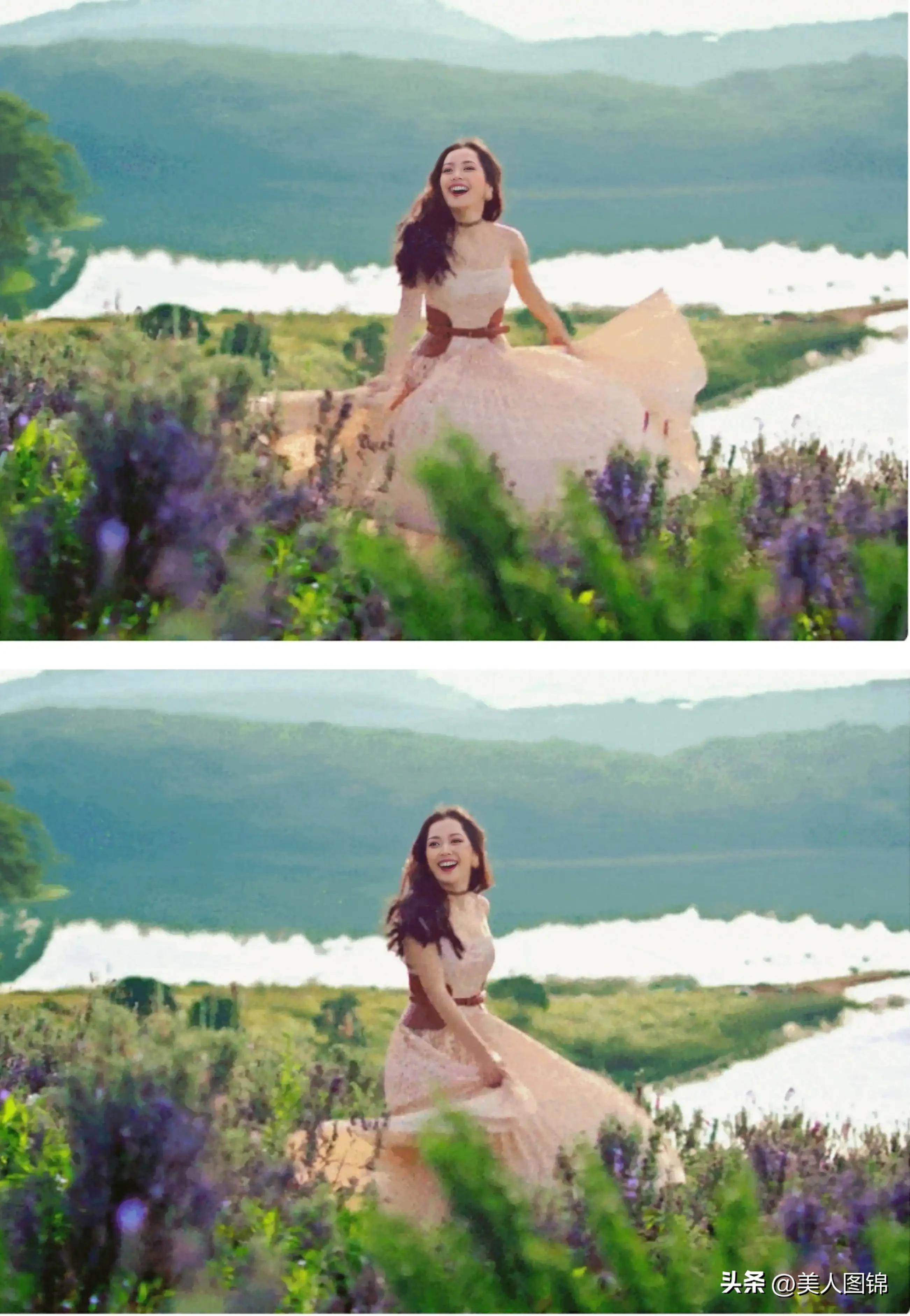 越南芝芙,芝芙越南