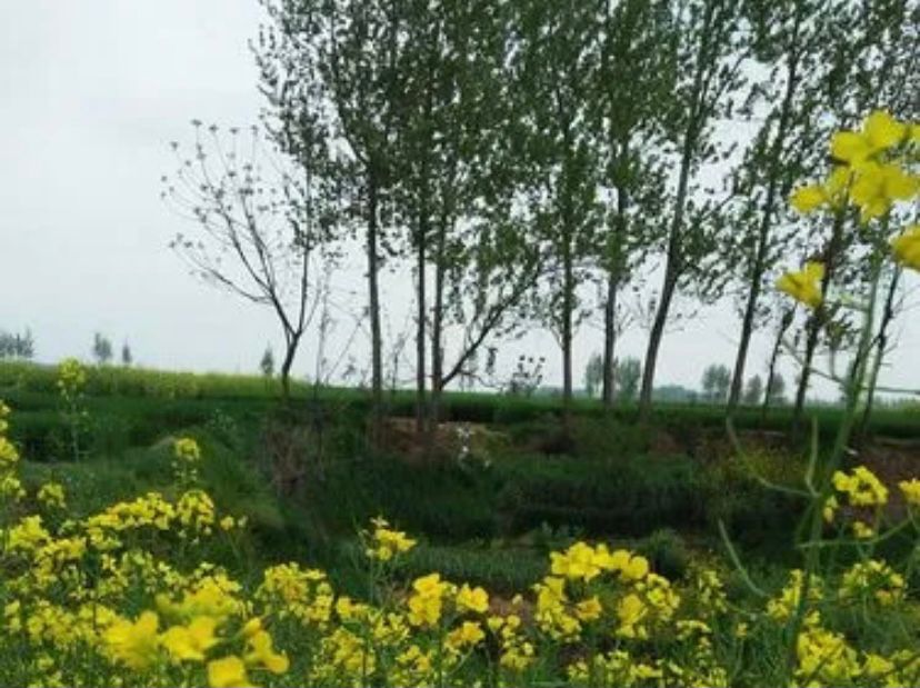 记忆中的岁月,把当兵时美好的日子留在记忆里