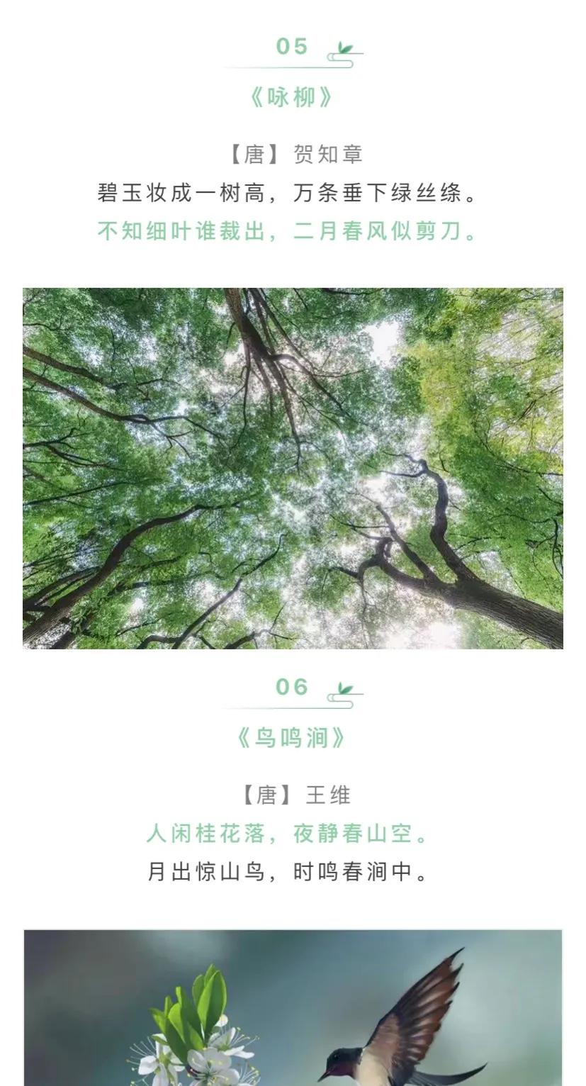 关于描写春天绵绵细雨的古诗词,关于春天的古诗词三年级100首