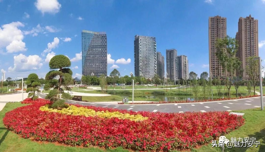 鐖变笂杩欒瘲鎰忕殑鐢熸椿,鐖变笂杩欒瘲鎯呯敾鎰忕殑鐢熸椿