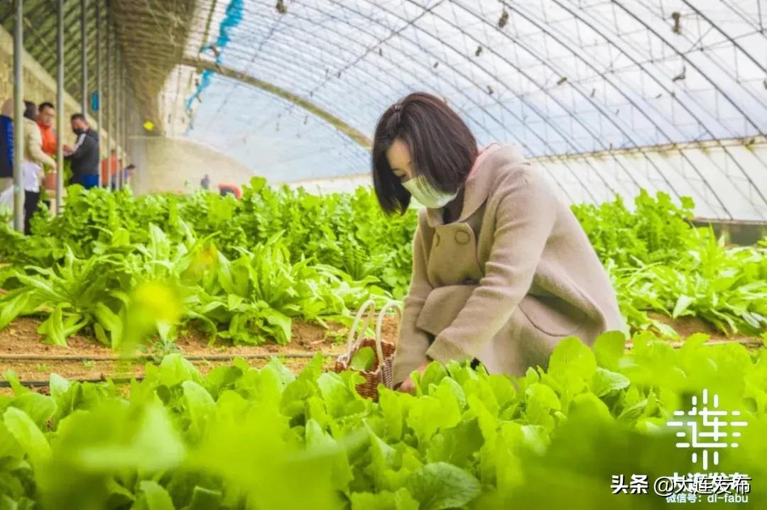 寒假不睡懒觉,寒假不补课就在家玩