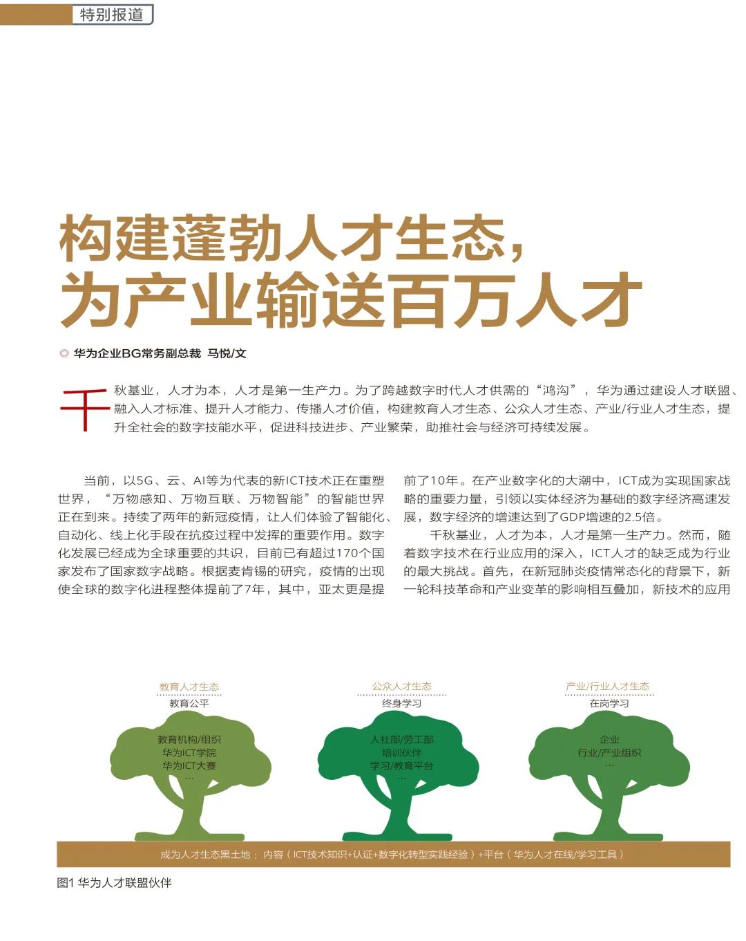 ict新视界,中国ict人才生态白皮书