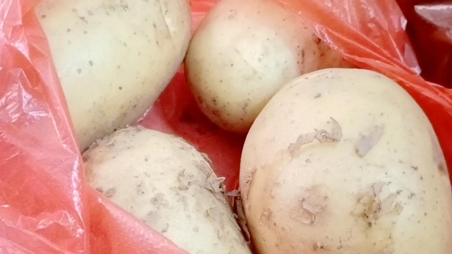 下饭菜新鲜土豆焖红烧肉,家常菜土豆炖肉