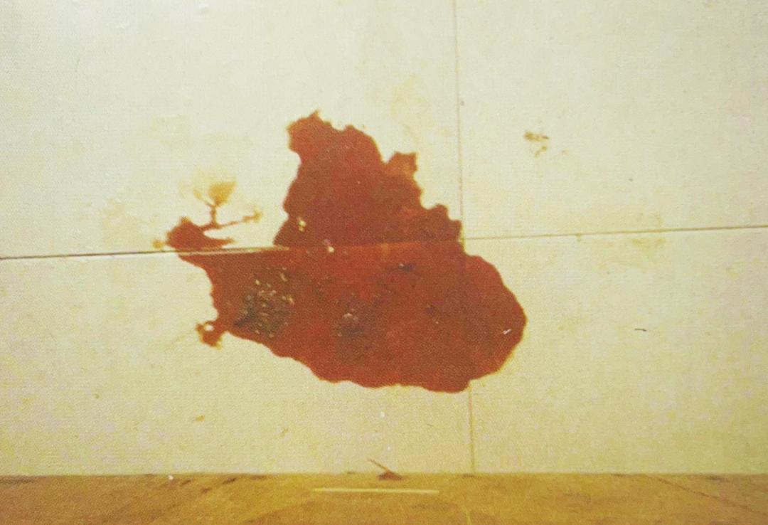 犬细小病毒治疗方法论文,犬细小病毒治疗方法文献综述