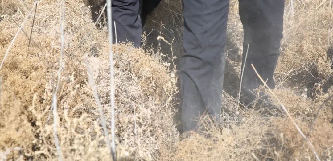 【新春走基层】宁夏平罗：黄河边的守护者