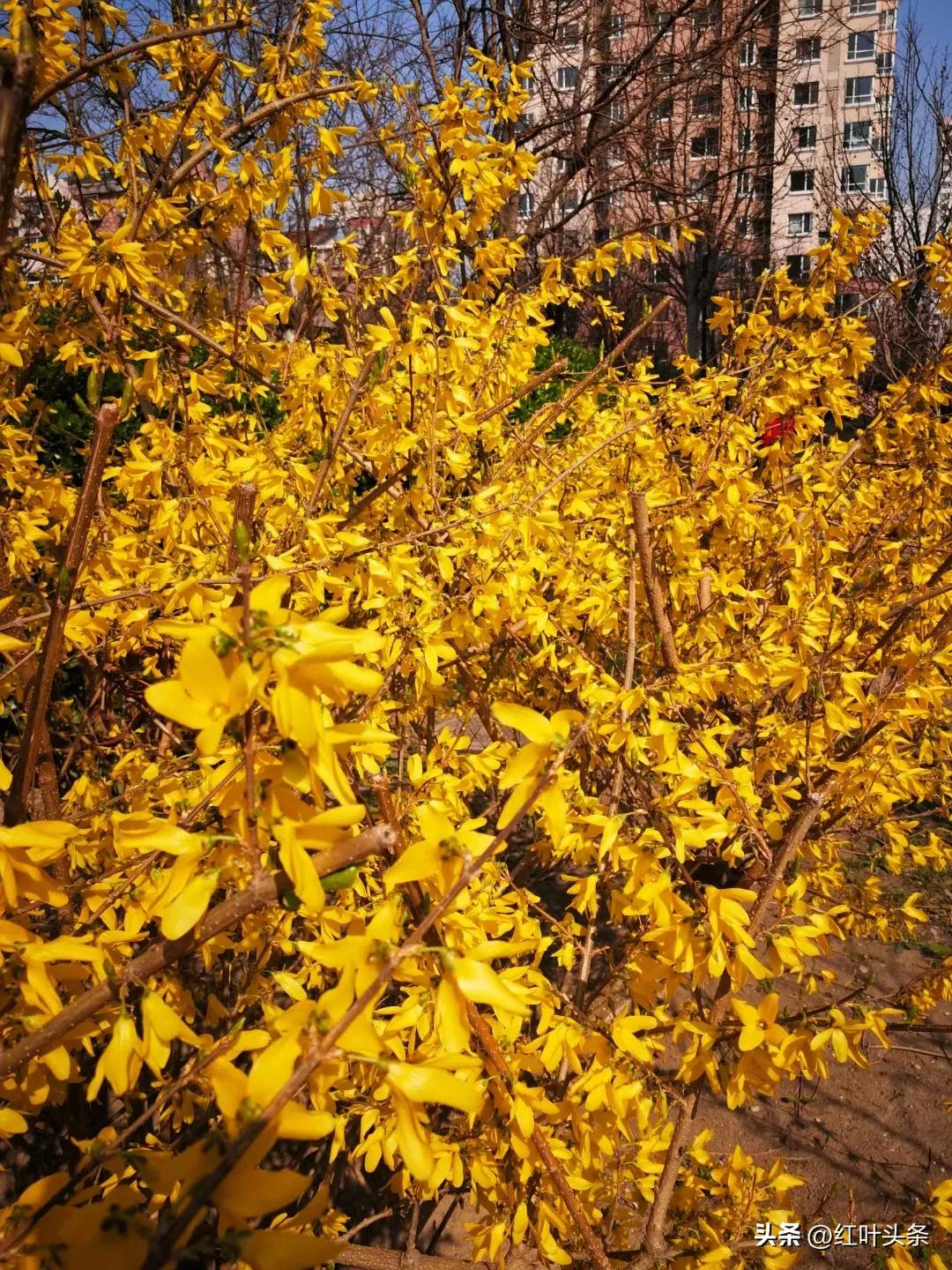 《卦里藏诗》之三.姜保坤