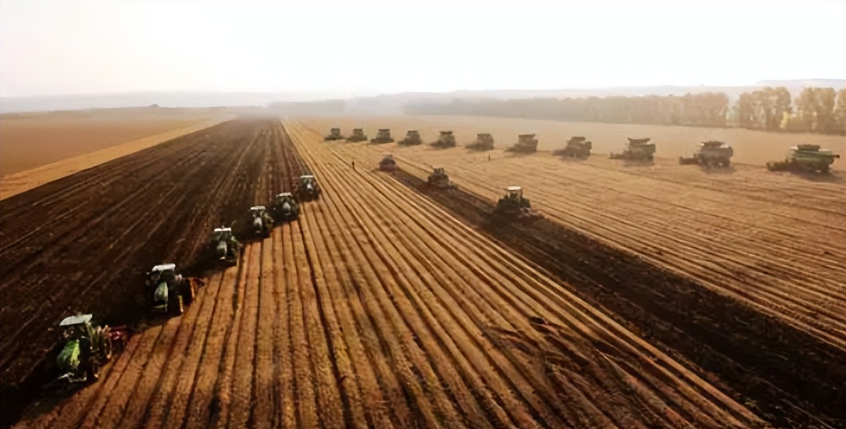 北大荒垦荒什么时候开始的,北大荒退耕还荒原因