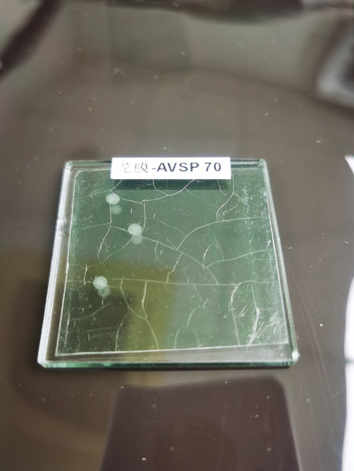 谁是太阳膜界真正的王者,谁是太阳膜界的王者