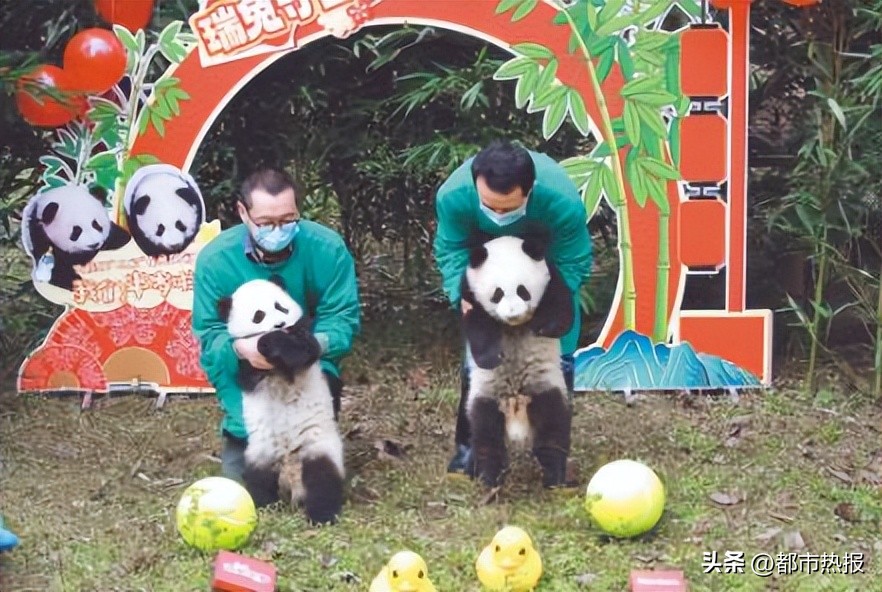 粘人精呆萌可爱的小宝贝,黏人精的小宝贝