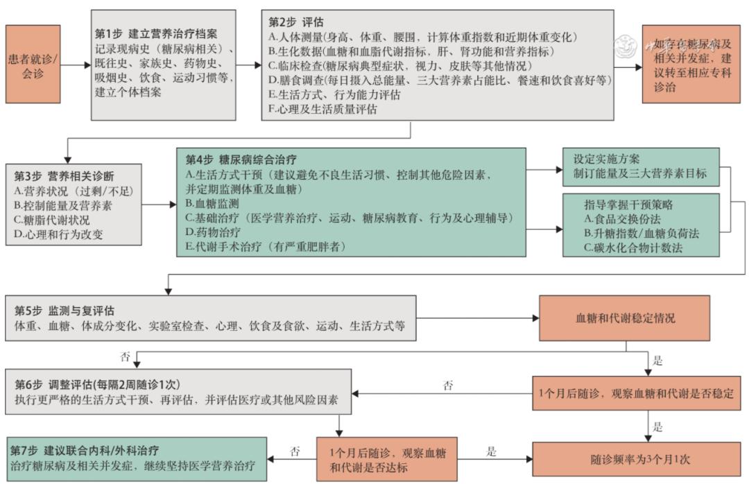 「规范与指南」中国糖尿病医学营养治疗指南（2022版）（一）