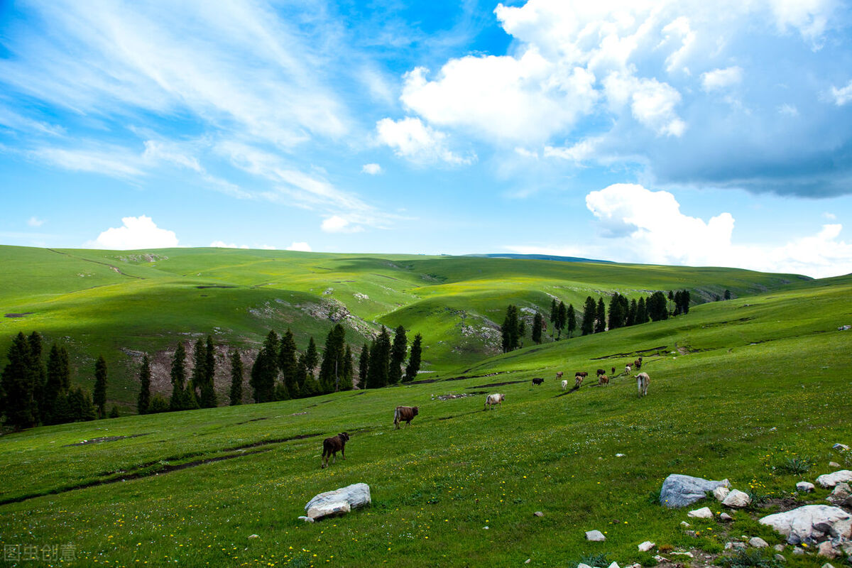 开心一刻冷笑话大全1分钟笑翻你,开心一刻38个幽默冷笑话