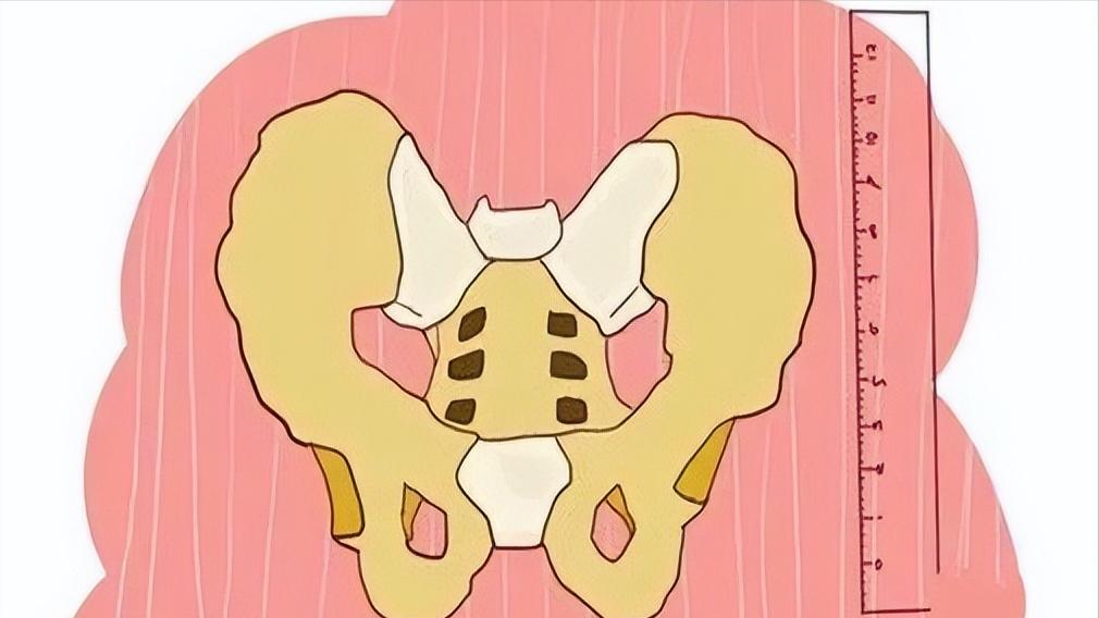 省立东院产检费用表,北大国际医院产检表