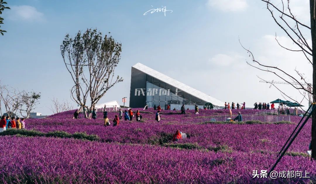 刻骨铭心的历程,刻骨铭心怎么过关