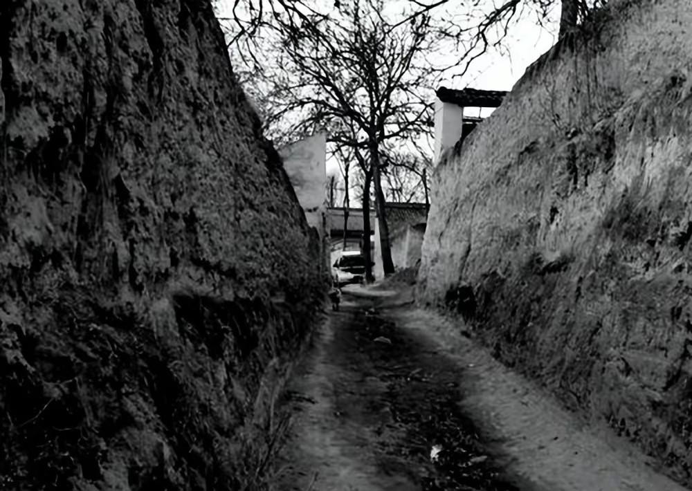 父亲被杀十几年后儿子为其报仇,儿子被杀父亲复仇灭掉黑帮