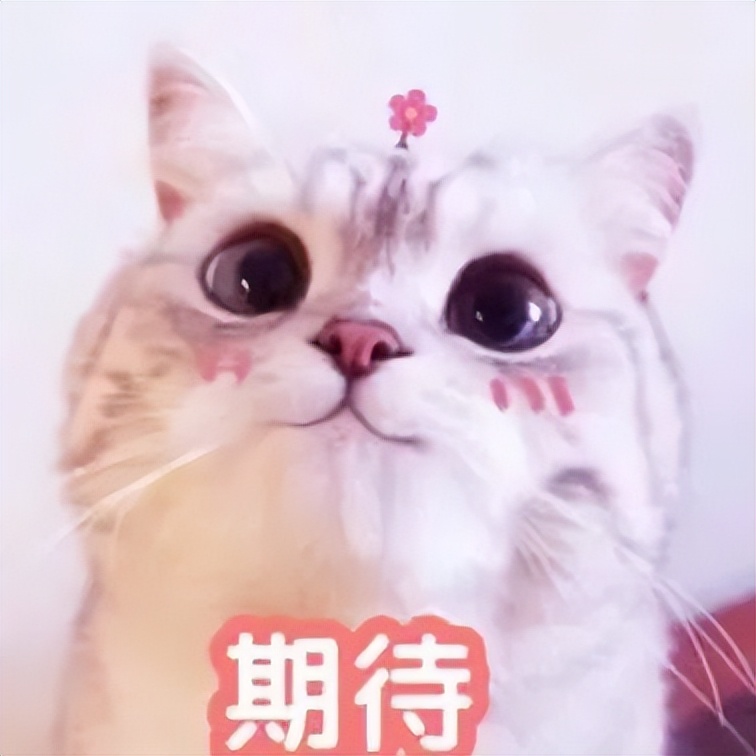 广州耀华国际学校到底好不好,广州耀华国际学校地址