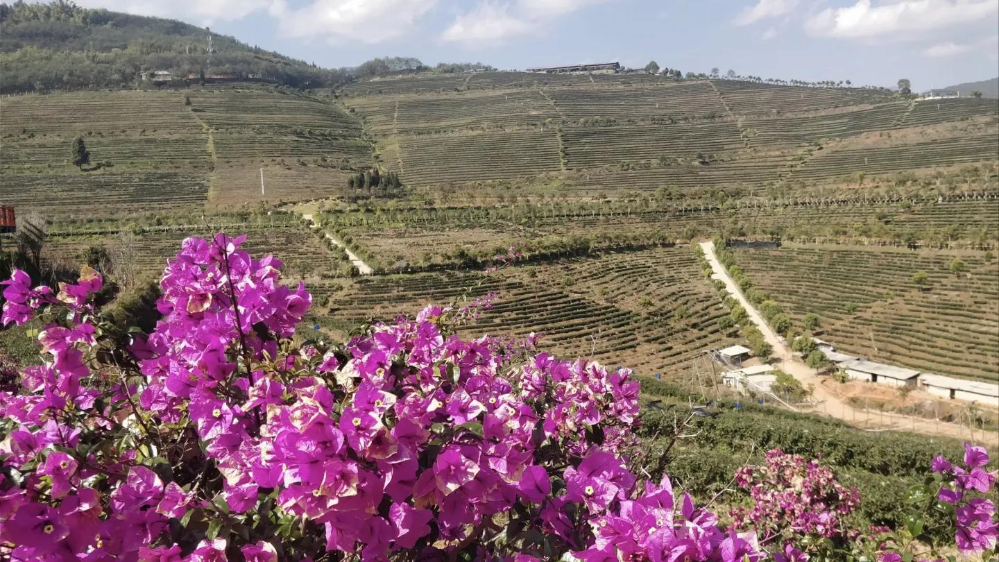 中南半岛各国立体地形,中南半岛和东南亚分布图