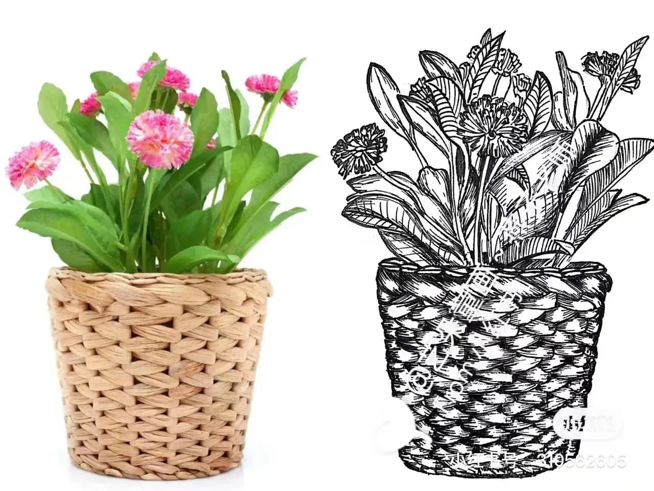 美术素材大合集,个人创意美术素材分享