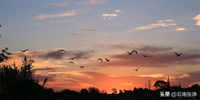 以“文化名城”之名述评20年警察时光