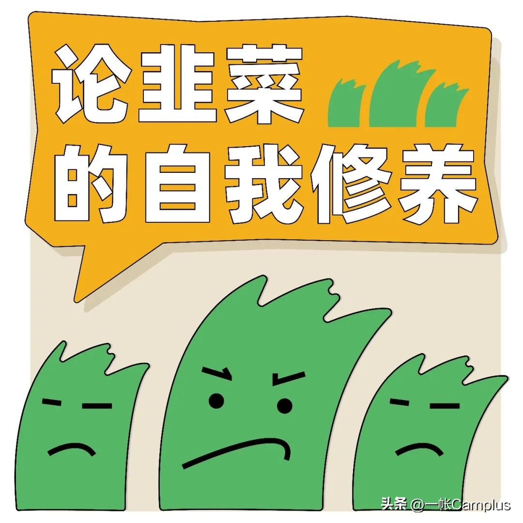 snowpeak进中国了吗,snowpeak上海